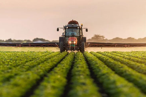 无人农场.png 无人农场.png