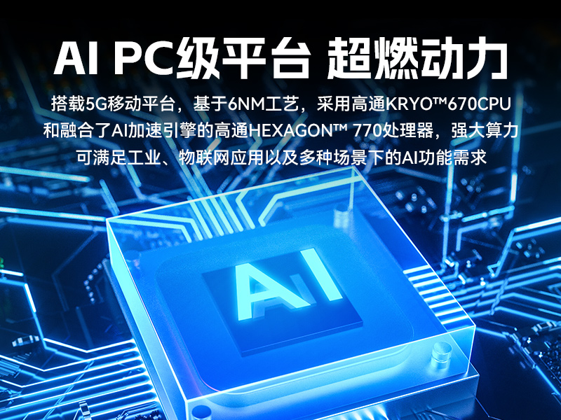 熊猫8寸三防加固平板,IP65认证三防平板终端,DTZ-Q0801E-670