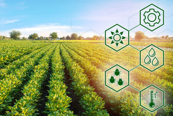 智慧农业.png 智慧农业.png